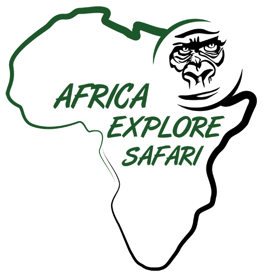 Africa Explore Safari