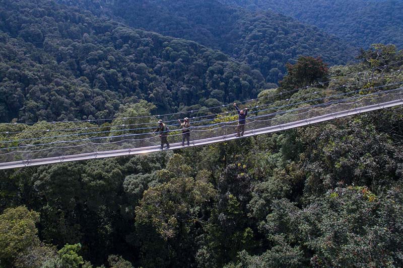 nyungwe